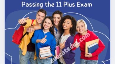 Passing the 11 Plus Exam: The Complete Preparation Strategy.