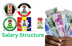 NSCDC Salary Structure 2025: Civil Defense, Immigration Service Monthly Pay Scale Nigeria